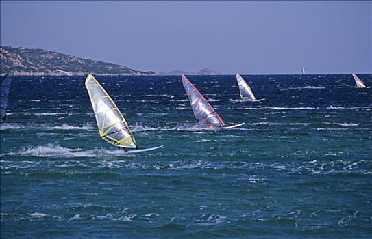 帆板,海中,撒丁岛,意大利