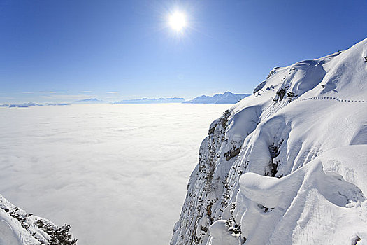 雾,遮盖,萨尔札赫河谷,贝希特斯加登阿尔卑斯山,萨尔茨堡,奥地利