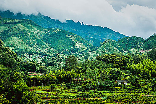 美丽山景