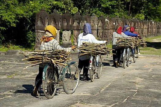 女人,穿,彩色,头巾,推,自行车,木头,吴哥,收获,柬埔寨