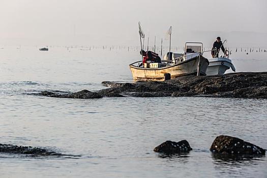 海景,日出,唯美