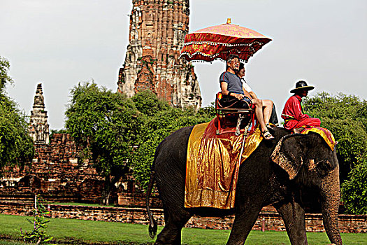 游客,骑,大象,正面,石头,寺院,大城府,泰国