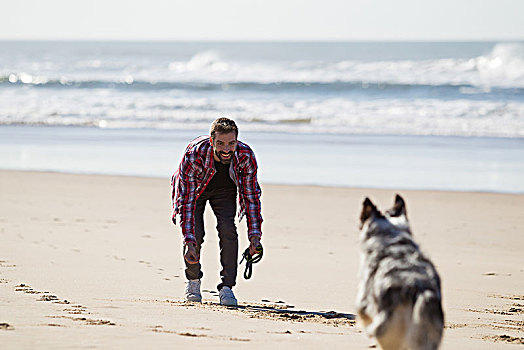 狗,跑,男业主,海滩