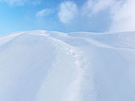 雪,沙丘,蓝天,安大略省,加拿大