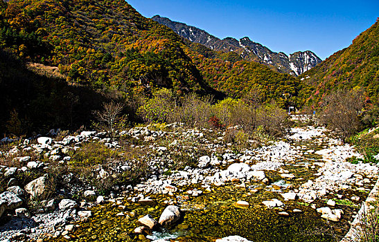 秦岭山