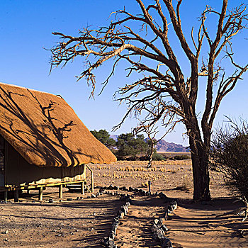 小屋,卡拉哈里沙漠,纳米比亚,非洲