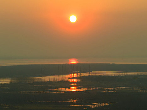 山东泰安东平湖风光