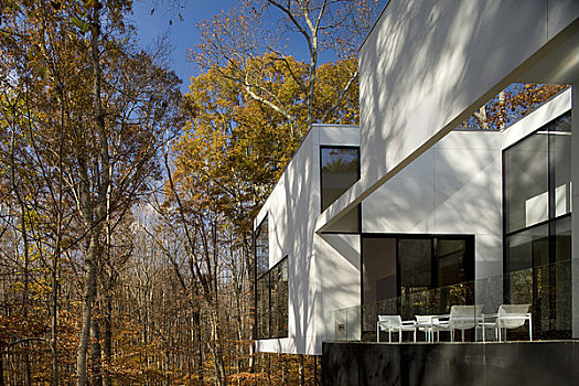 房子,建筑师,弗吉尼亚,美国,2009年,庭院