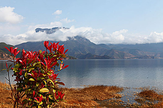 泸沽湖风光