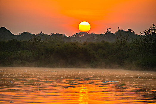 日出,上方,尼罗河,国家公园,乌干达,非洲
