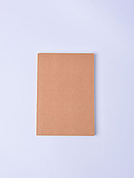 一本棕色封皮的书籍