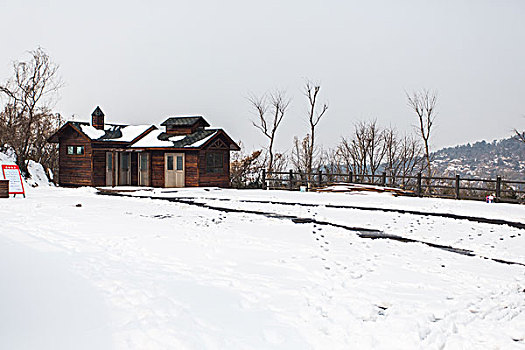 下雪,交通,雪地,公路