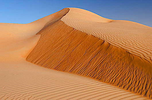 沙丘,瓦希伯沙漠,沙漠,沙尔基亚区,沙,夜光,灰尘,阿曼,亚洲
