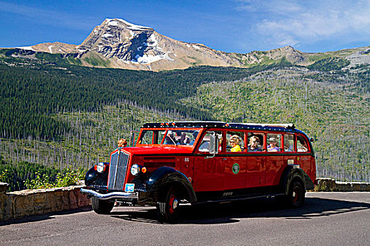 红色,巴士,道路,冰川国家公园,蒙大拿,美国