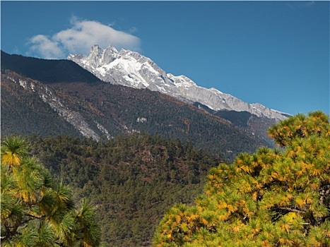 雪,山,云南,中国