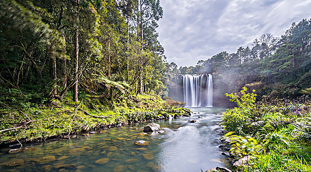 瀑布,彩虹瀑布,河,北国,北岛,新西兰,大洋洲