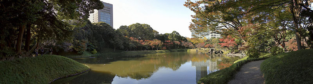日式庭园,东京,日本