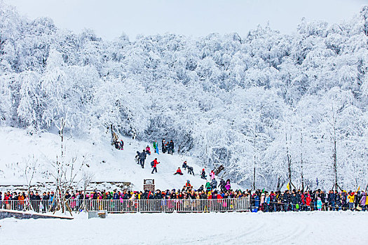 西岭雪山大雪的美丽风景