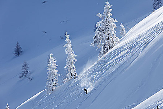 滑雪道,滑雪坡,滑雪,区域,靠近,施蒂里亚,奥地利,欧洲