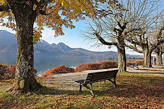 长椅,科赫尔湖,秋天,看,坏,上巴伐利亚,巴伐利亚,德国