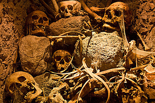 头骨,骨头,博物馆,瓜纳华托,墨西哥,北美