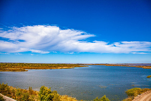 吉林省大安嫩江湾湿地公园风光摄影