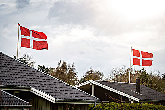 丹麦,旗帜,庆贺,乡村,附近,小,房子,旗杆