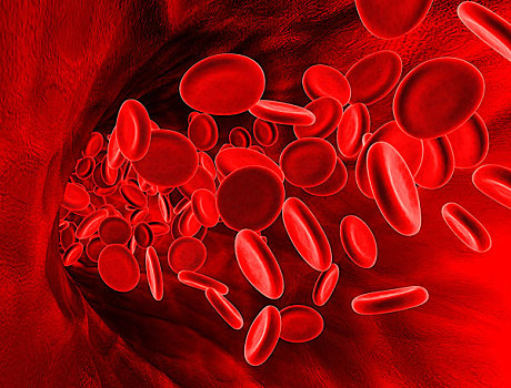 红血球,室内,脉络