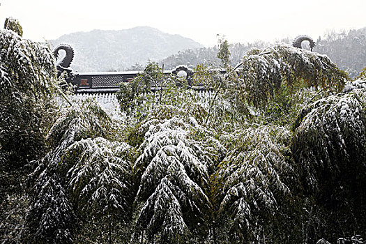 杭州,西湖,建筑,灵隐寺,寺庙,雪,宗教,佛教,僧人,塑像,信仰,文化,旅游,飞来峰