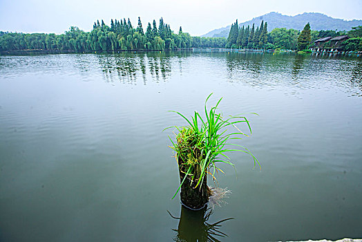 鉴湖,桥,水面,长堤,古桥,船