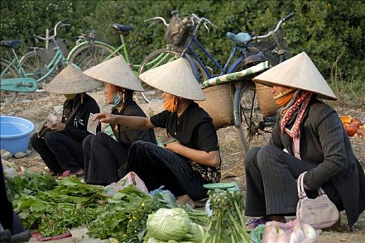 四个,越南人,女人,戴着,米饭,帽子,坝,种族,销售,蔬菜,市场,越南,亚洲