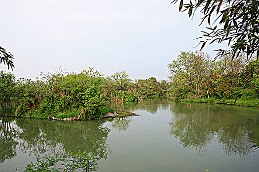西溪,湿地