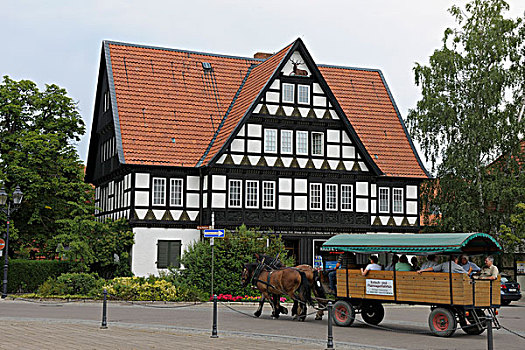 马车,正面,历史建筑,哈尔茨山,地区,德国