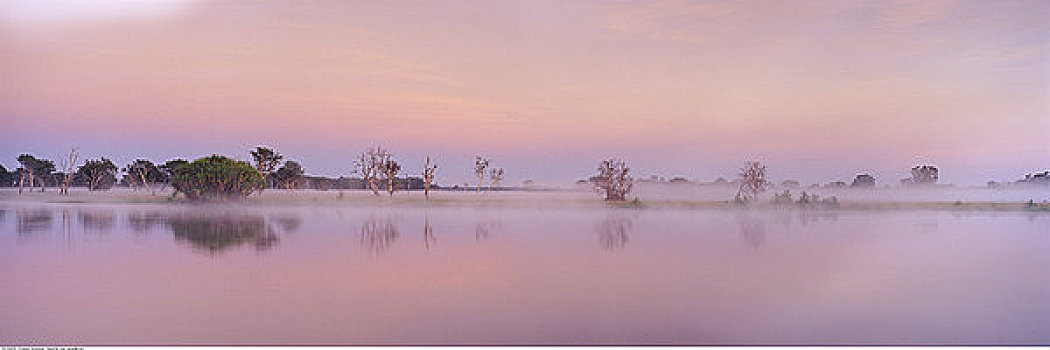 卡卡杜国家公园,北领地州,澳大利亚