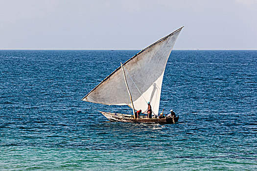 非洲,坦桑尼亚,桑给巴尔岛,石头城,独桅三角帆船,印度洋