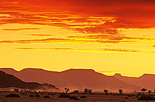 纳米比亚,纳米布沙漠,纳米比诺克陆夫国家公园,日出