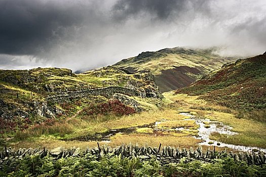 俯视,高沼地,山中小湖,湖区,坎布里亚,英格兰