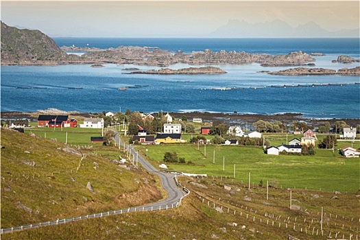 传统,挪威,彩色,房子,罗浮敦群岛