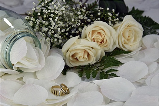 婚戒,白色,玫瑰