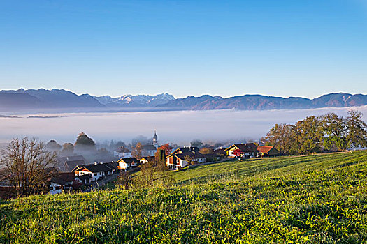 雾,秋天,市区,后面,楚格峰,区域,上巴伐利亚,巴伐利亚,德国,欧洲