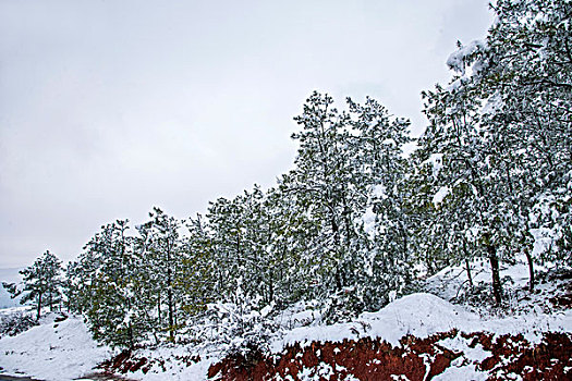 冬季的云南东川红土地雪原