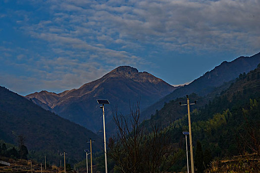 树,蓝天,田野,山,背景,村庄,山岗