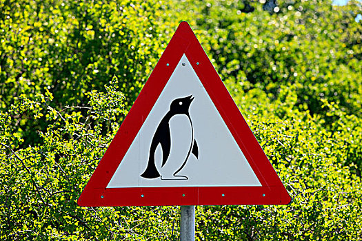 黑脚企鹅,交通标志,海滩,漂石,城镇,西海角,南非