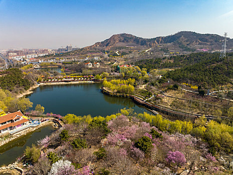 山东省青岛市梅园航拍图片