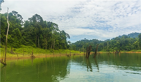 雨林,湖,马来西亚