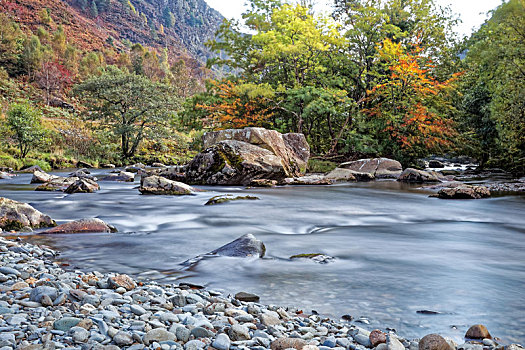 风景,河,秋天