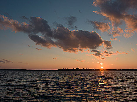 湖,日落,木头,安大略省,加拿大