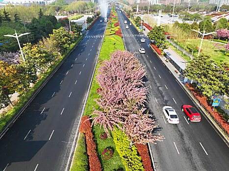 江苏东海,城市道路色斑斓