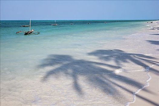 椰子,棕榈树,海滩,一个,东南部,桑给巴尔岛