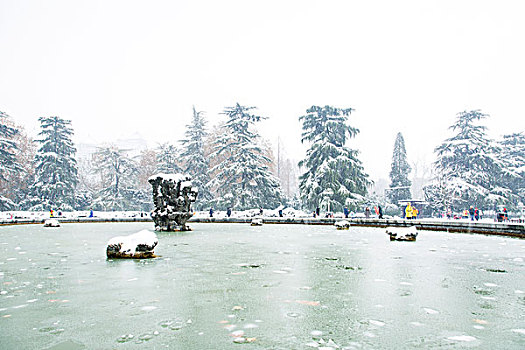 雪景